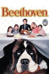Download Beethoven (1992) BluRay Dual Audio {Hindi-English} 480p [320MB] | 720p [920MB] | 1080p [2GB]